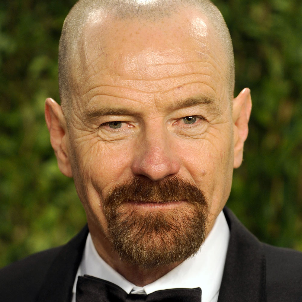 Bryan Cranston archer